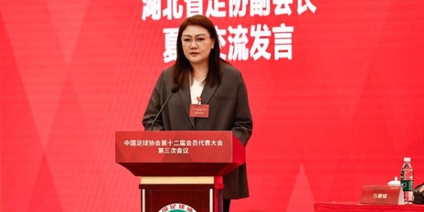 星空体育app下载-中国足协第十二届会员代表大会第三次会议召开